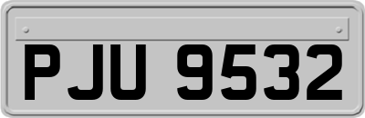 PJU9532