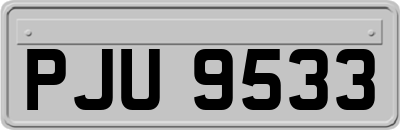 PJU9533