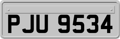PJU9534