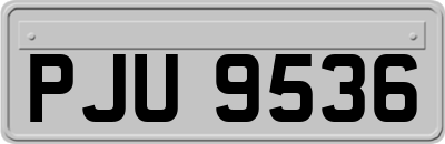 PJU9536