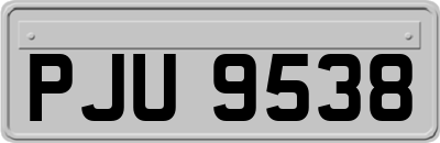 PJU9538