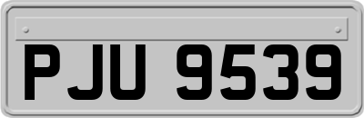 PJU9539