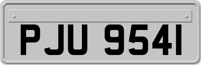 PJU9541