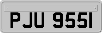 PJU9551