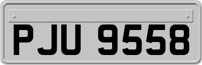 PJU9558