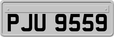 PJU9559