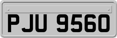 PJU9560