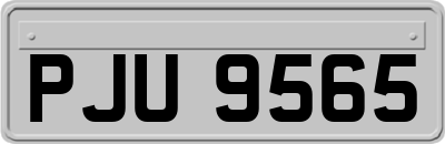 PJU9565