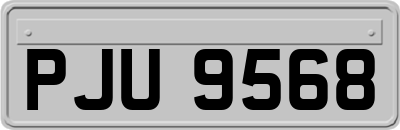 PJU9568