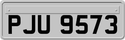 PJU9573