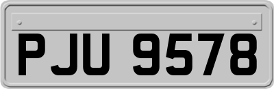PJU9578