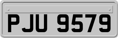 PJU9579