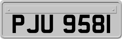 PJU9581