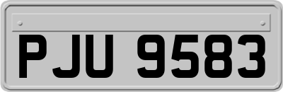 PJU9583