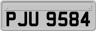 PJU9584