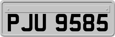 PJU9585