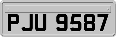 PJU9587