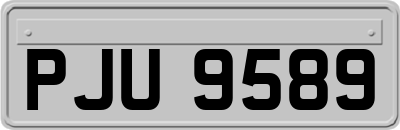 PJU9589
