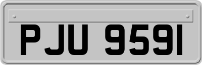 PJU9591