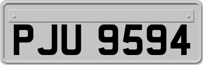 PJU9594