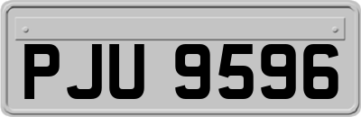 PJU9596