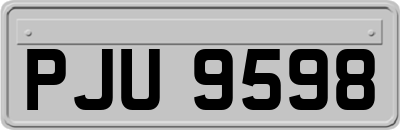 PJU9598