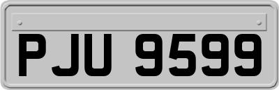 PJU9599