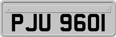PJU9601