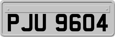 PJU9604
