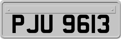PJU9613