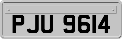 PJU9614