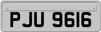PJU9616