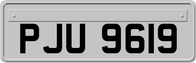 PJU9619