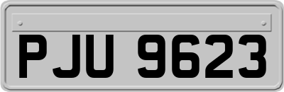 PJU9623
