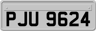 PJU9624