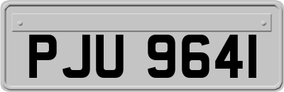 PJU9641
