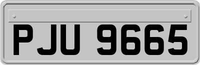 PJU9665