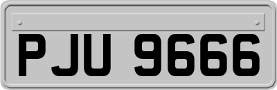 PJU9666
