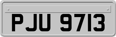 PJU9713