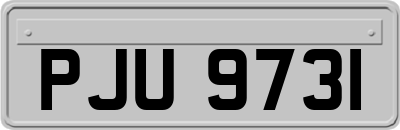 PJU9731