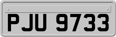PJU9733