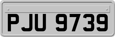 PJU9739