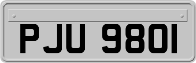 PJU9801