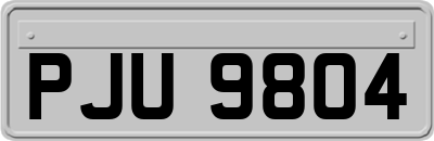 PJU9804