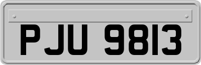 PJU9813