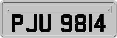 PJU9814