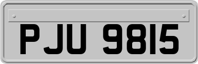 PJU9815