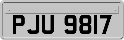 PJU9817
