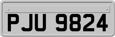 PJU9824