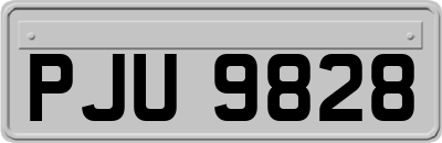 PJU9828